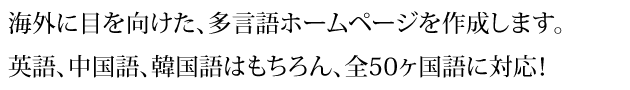 海外に目を向けた、多言語ホームページを作成します。 英語、中国語、韓国語はもちろん、全50ヶ国語に対応！
